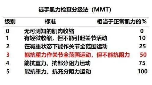 黄色片网此：最新研究显示，青少年对成人内容的接触率显著上升，引发社会各界广泛关注与讨论