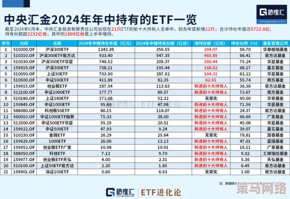 XXXXXL19是多大排量？深入理解其排量特征与性能表现