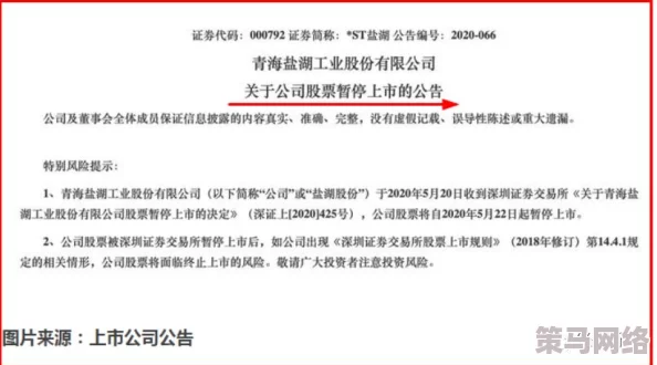 97视频：最新曝光！震撼全球的独家内幕，竟然揭示了你从未想过的真相！