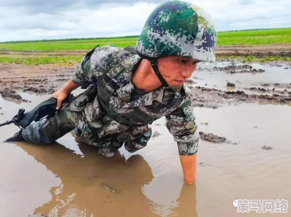 魔力奇兵战士加点策略深度剖析：5力加点方案全解析