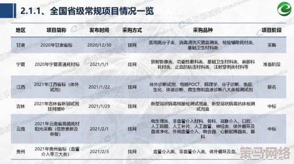 插入啊啊啊：最新动态显示该项目正在快速推进，预计将于下季度完成关键阶段