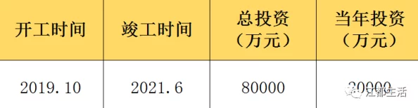 插入啊啊啊：最新动态显示该项目正在快速推进，预计将于下季度完成关键阶段