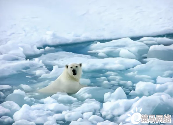 嗯啊哈不要：全球气候变化引发的极端天气频发，专家呼吁加强应对措施以保护生态环境和人类生活