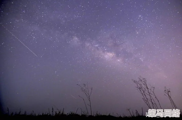 午夜男人的天堂：最新动态揭示夜间娱乐场所的安全措施与新规，吸引更多年轻人光顾，提升消费体验