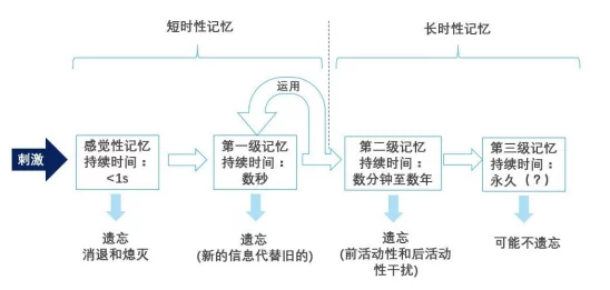 時が流れても記憶は永遠に：新たな研究が示す、記憶の持続性とその影響についての最新知見